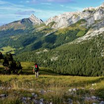 Camping du Lac Bleu Ciela Village 